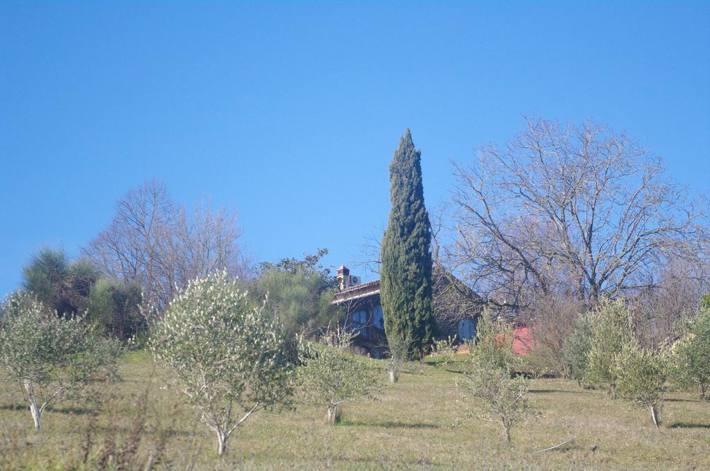 メデザーノ La Casa Sopra Le Nuvoleヴィラ エクステリア 写真